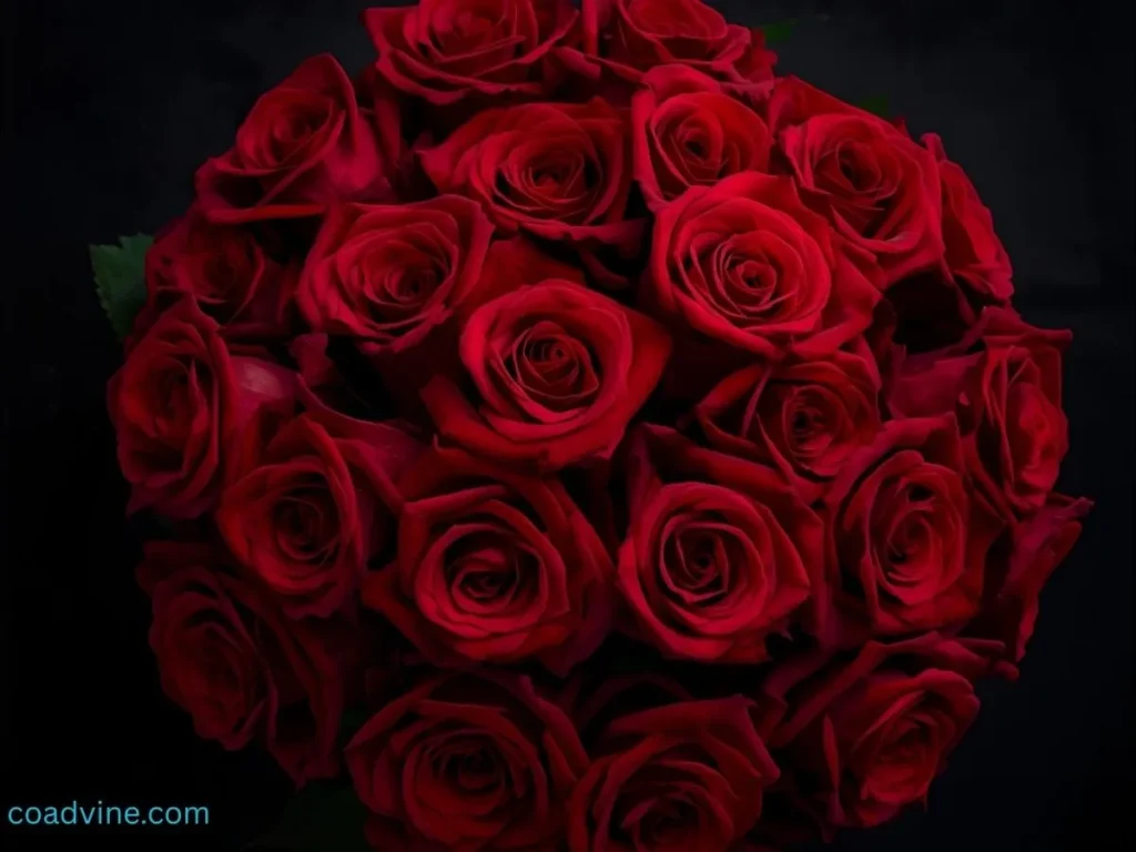 Red Rose Bouquet Captions For Instagram