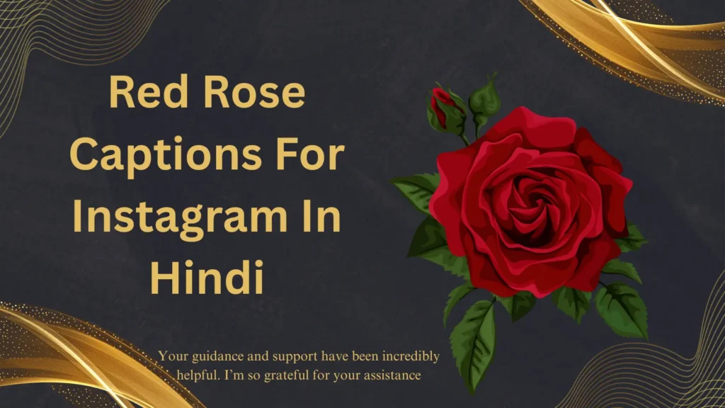 Red Rose Captions For Instagram In Hindi