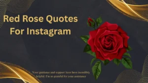 Read more about the article 295+Best Red Rose Quotes For Instagram