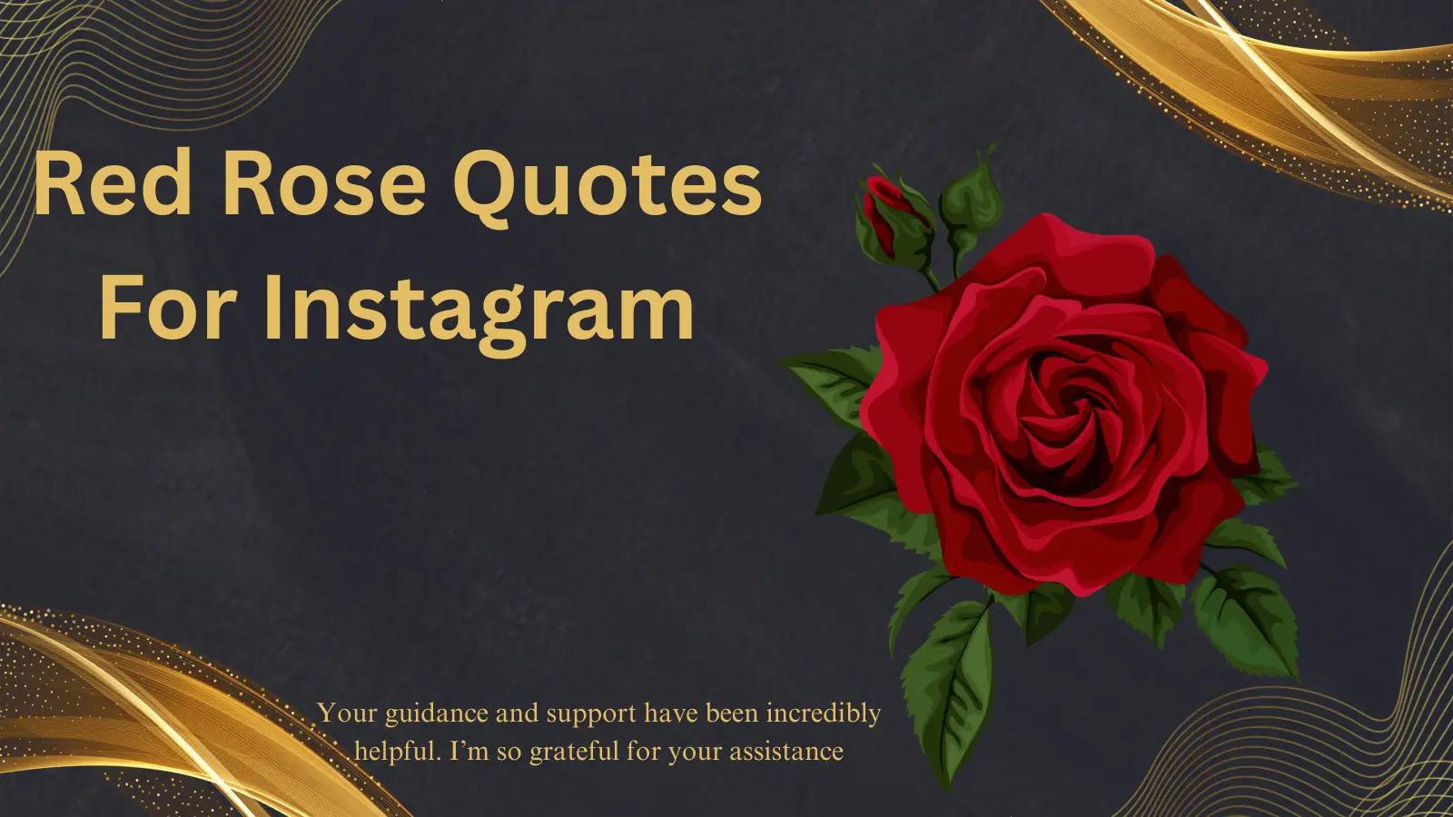 You are currently viewing 295+Best Red Rose Quotes For Instagram