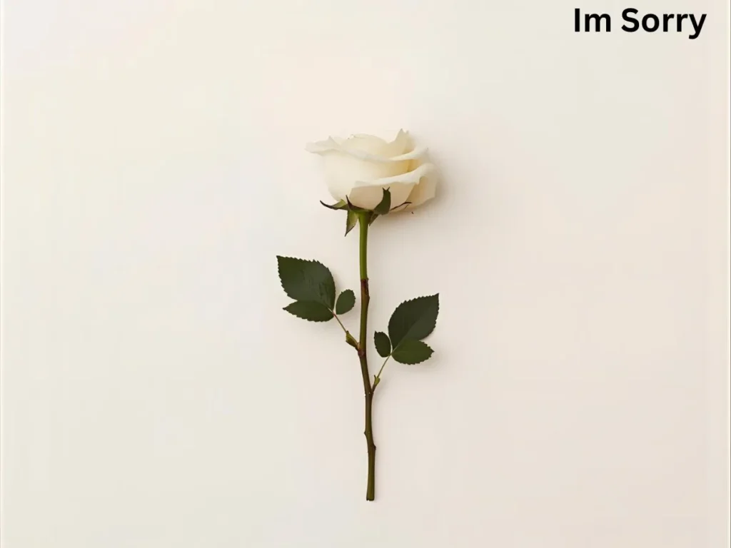 Short Im Sorry Quotes