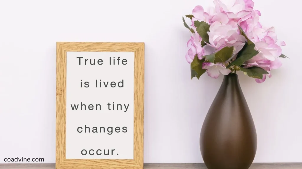 Disney Quotes About Love and Happiness